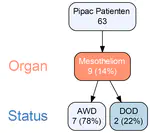 Pipac beim peritonealen Mesotheliom